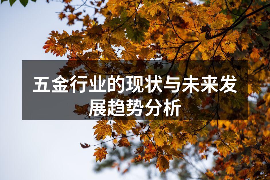 五金行业的现状与未来发展趋势分析
